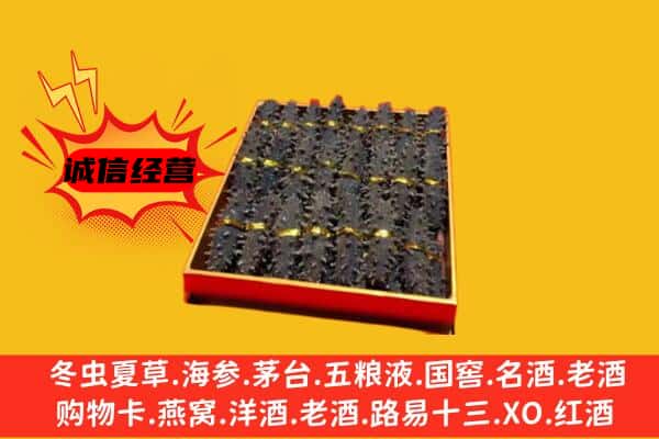 青岛市回收海参